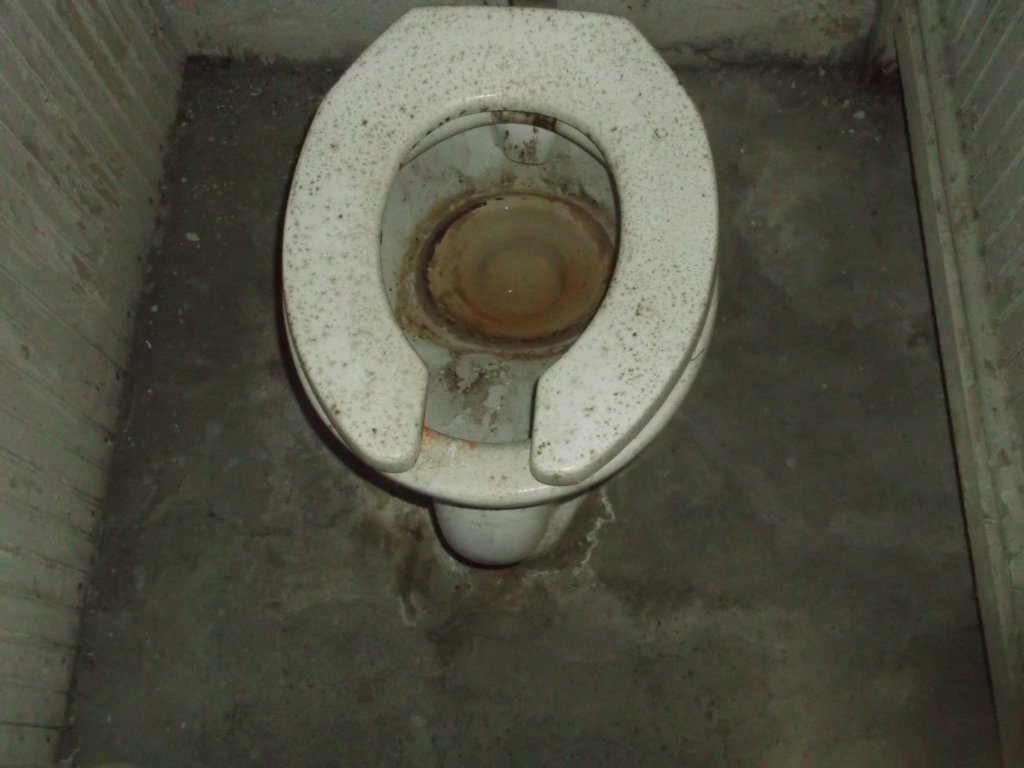 toiletfilthy.jpg